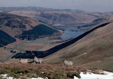 DunRig from S over StMarys from AndWhinney.JPG (18927 bytes)
